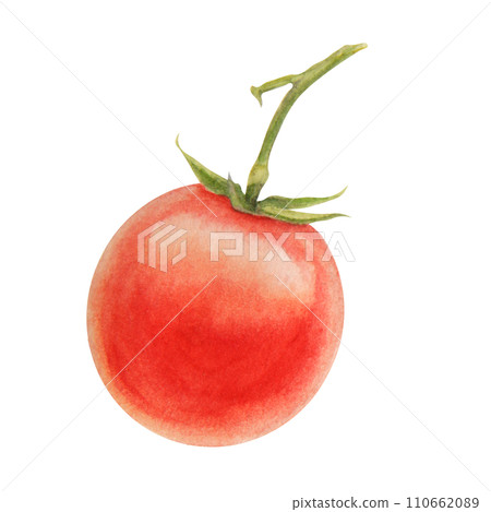 Fresh ripe cherry tomatoes on branch. Hand drawn watercolor illustration of red organic vegetable, close-up, vegetarian food, natural ingredient, package design element. Realistic botanical painting 110662089