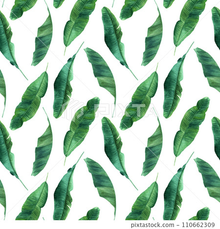 Watercolor seamless pattern with banana tree leaves. Hand drawn illustration isolated on white background. For wrapping wallpaper fabric textile. 110662309