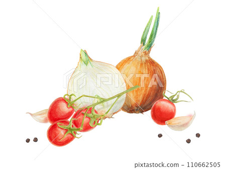 Fresh ripe cherry tomato on branch, onion, garlic, pepper. Hand drawn watercolor illustration of red organic vegetable, close-up, vegetarian food, natural ingredient, package design element, painting Fresh ripe cherry tomato on branch, onion, garlic, pepper. Hand drawn watercolor illustration of red organic vegetable, close-up, vegetarian food, natural ingredient, package design element, painting 110662505