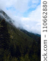Ascending Tranquility: Trees and Mountain Mist Paint a Serene Alpine Landscape. 110662880