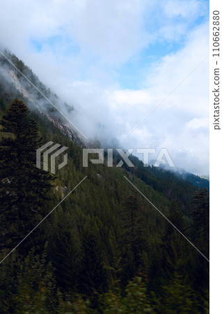 Ascending Tranquility: Trees and Mountain Mist Paint a Serene Alpine Landscape. Ascending Tranquility: Trees and Mountain Mist Paint a Serene Alpine Landscape. 110662880