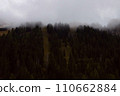 Veiled Heights: A Mountain Forest Cloaked in Fog, Creating a Scene of Mystique  110662884