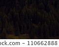 Enchanted Forest: A Dense Canopy of Evergreens, Natural Beauty. 110662888