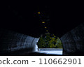 Emerging from Darkness: The Journey Through a Tunnel with Light at the End. 110662901