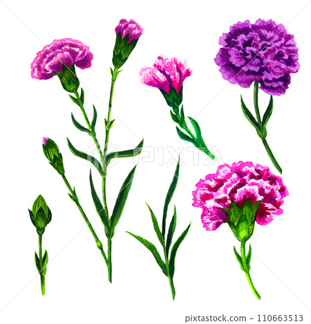 Watercolor illustration of flowers and leaves. Design for cover, fabric, textile, wrapping paper. Floral elements on a white background for creating postcards and wedding invitations. 110663513