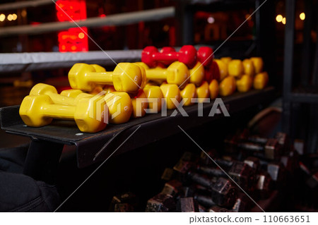 Rows of dumbbells in the gym 110663651