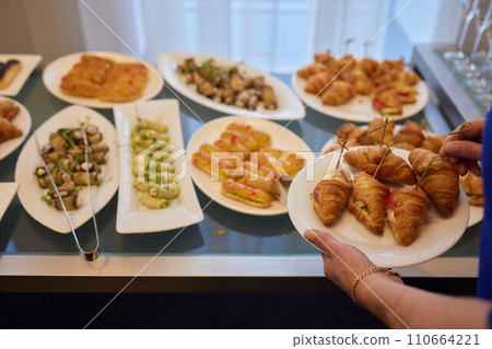 light snacks for the holiday, catering. Various light snacks. Catering plate. Assortment of sandwiches on the buffet table. meat, fish, vegetable canapes. light snacks for the holiday, catering. Various light snacks. Catering plate. Assortment of sandwiches on the buffet table. meat, fish, vegetable canapes. 110664221