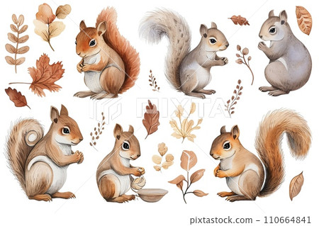 Set of Squirrel in different poses, watercolor style design 110664841