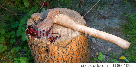 A bloody ax lies on a stump A bloody ax lies on a stump 110665093