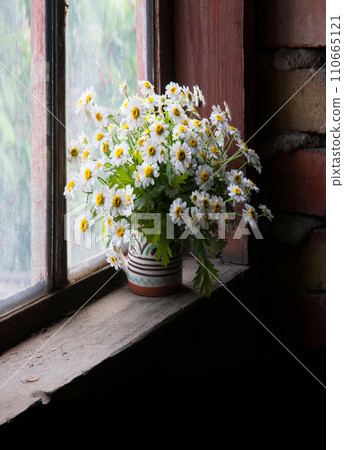 Bouquet of daisies on the windowsill 110665121