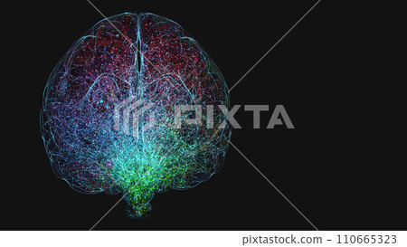 Signal and impulses in the neuronal network of a color-divided human brain - 3d illustration Signal and impulses in the neuronal network of a color-divided human brain - 3d illustration 110665323