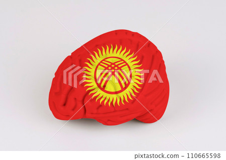 On a white background, a model of the brain with a picture of a flag - Kyrgyzstan 110665598
