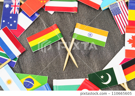 The concept is diplomacy. In the middle among the various flags are two flags - India, Lithuania 110665605
