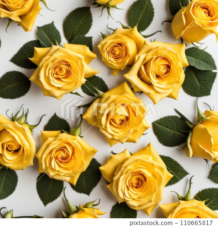 Yellow roses on white background, Conceptual image for love, dating, Valentine's Day, anniversary. 110665817