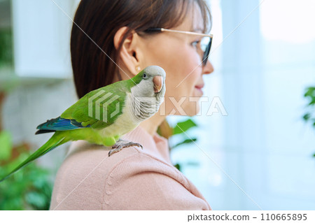 Close-up of green parrot on the shoulder of a female owner 110665895