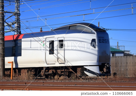 Narita Express 110666065