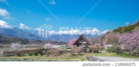 ``Yamanashi Prefecture'' Clear skies and cherry blossom blooming scenery at Suisha-no-Sato Park ``Yamanashi Prefecture'' Clear skies and cherry blossom blooming scenery at Suisha-no-Sato Park 110666075