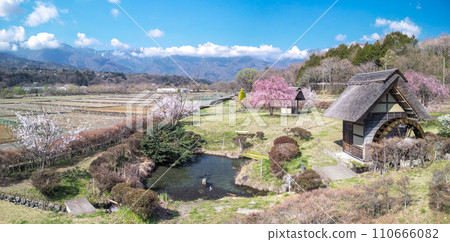 「山梨郡」晴空萬裡、櫻花盛開的翠社之裡公園 「山梨郡」晴空萬裡、櫻花盛開的翠社之裡公園 110666082
