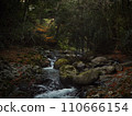 Beautiful mountain stream full of dead leaves with beautiful remnants of autumn 110666154