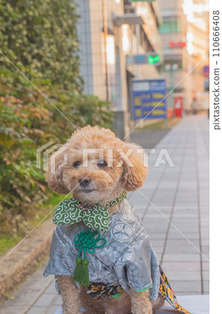 dog and hakama dog and hakama 110666408
