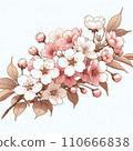 水彩畫的櫻花插圖 110666838