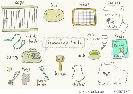 A collection of essential items and care tools for owning a dog, name of the tool, yellow 110667975