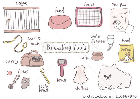 養狗必備物品和護理工具合集，工具名稱，無背景 110667976