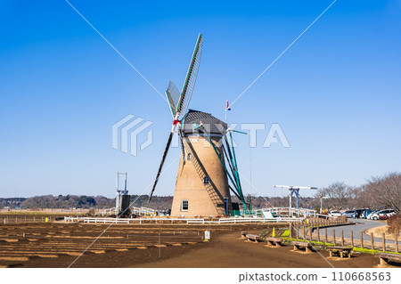 佐倉故裡廣葉千葉在陽光明媚的冬季天氣 110668563