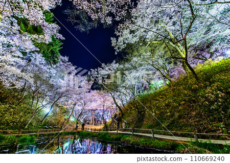 Night cherry blossoms at Takato Castle Ruins Park, Nagano, under Okumo Bridge Night cherry blossoms at Takato Castle Ruins Park, Nagano, under Okumo Bridge 110669240