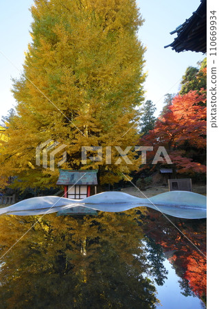 埼玉縣東松山市岩殿 岩殿觀音 岩殿山正法寺 觀音堂,背光黃葉,秋缽缽裡倒立的秋葉 埼玉縣東松山市岩殿 岩殿觀音 岩殿山正法寺 觀音堂,背光黃葉,秋缽缽裡倒立的秋葉 110669934