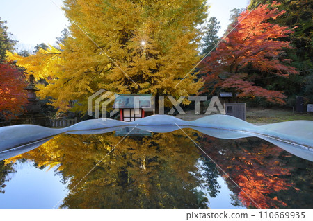 埼玉縣東松山市岩殿 岩殿觀音 岩殿山正法寺 觀音堂,背光黃葉,秋缽缽裡倒立的秋葉 埼玉縣東松山市岩殿 岩殿觀音 岩殿山正法寺 觀音堂,背光黃葉,秋缽缽裡倒立的秋葉 110669935