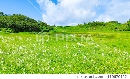 夏季攀登火內山（天狗庭園：棉草群落） 110670122