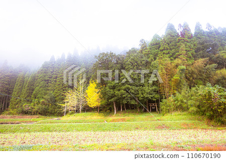 秋葉和小神社 秋葉和小神社 110670190