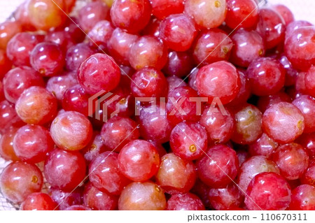 葡萄(特拉華州) 葡萄(特拉華州) 110670311