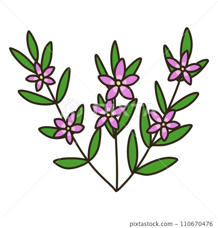 南十字星 南十字星 110670476