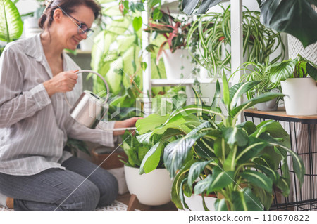 A young woman enjoys caring for flowers. Watering indoor plants and admiring them. 110670822