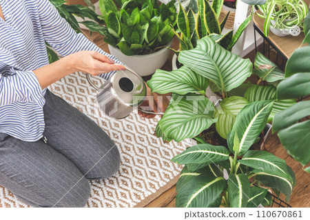 A young woman enjoys caring for flowers. Watering indoor plants and admiring them. 110670861