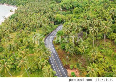 Aerial view of cars driving on highway or moterway. Overpass bridge street roads in connection network of architecture concept. Top view of forest trees. Nature landscape 110671059