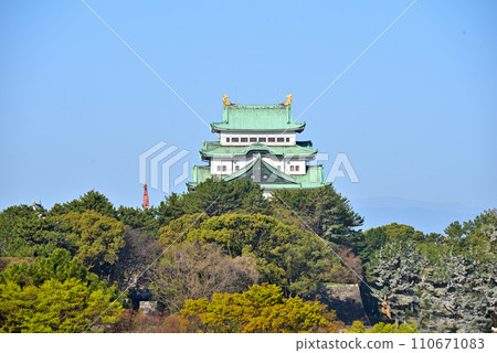 [Aichi Prefecture] Nagoya Castle castle tower dyed with autumn leaves 110671083