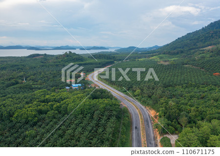 Aerial view of cars driving on highway or moterway. Overpass bridge street roads in connection network of architecture concept. Top view of forest trees. Nature landscape 110671175
