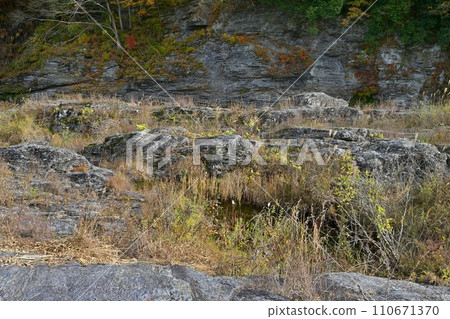 長瀞岩榻米秋葉的山谷 長瀞岩榻米秋葉的山谷 110671370
