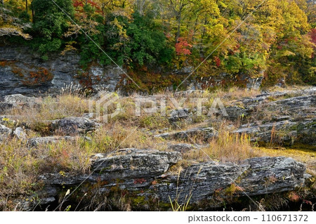 Nagatoro Iwatatami and valley with autumn leaves 110671372