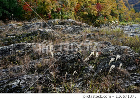 Nagatoro Iwatatami and valley with autumn leaves 110671373