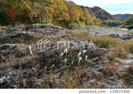 長瀞岩榻米秋葉的山谷 長瀞岩榻米秋葉的山谷 110671400