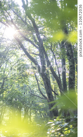 Fresh green eco image Fresh green eco image 110672036