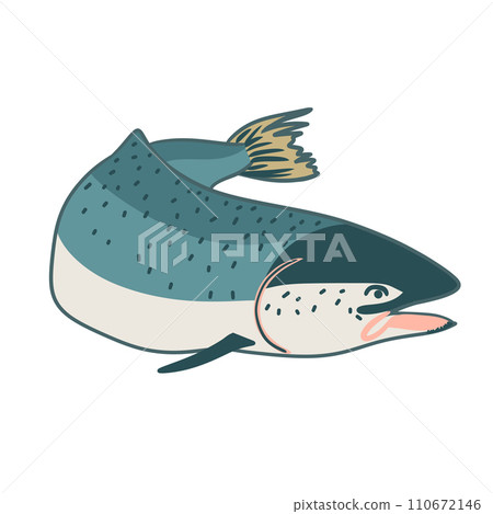 Hand drawn illustration of salmon fish, wild nature species, raw food. grey graphic print of natural acquatic ocean seafood, fishing fin, river water alive fish with tail scales. Hand drawn illustration of salmon fish, wild nature species, raw food. grey graphic print of natural acquatic ocean seafood, fishing fin, river water alive fish with tail scales. 110672146