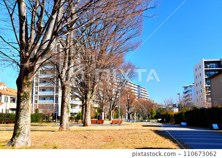 越過櫸樹公園眺望雲雀丘公園山（東京都東久留米市/西東京市）[2024.1] 110673062