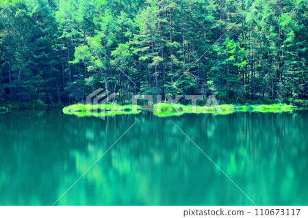 Mishaka Pond in July - Nature of Shinshu Mishaka Pond in July - Nature of Shinshu 110673117
