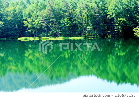 Mishaka Pond in July - Nature of Shinshu 110673155