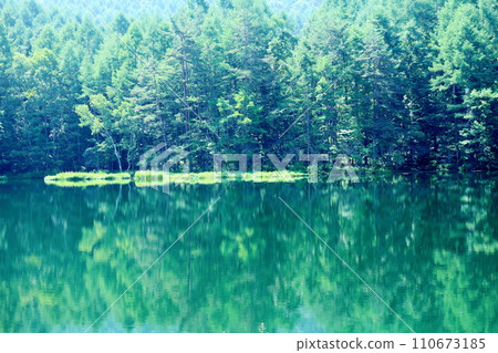 Mishaka Pond in July - Nature of Shinshu Mishaka Pond in July - Nature of Shinshu 110673185